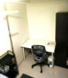 The Visionaire (D27), Condominium #518408361